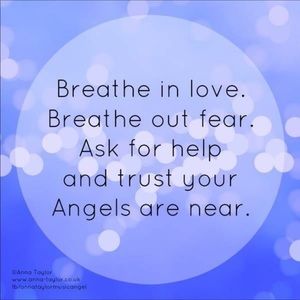 Meet your Posher, Ann